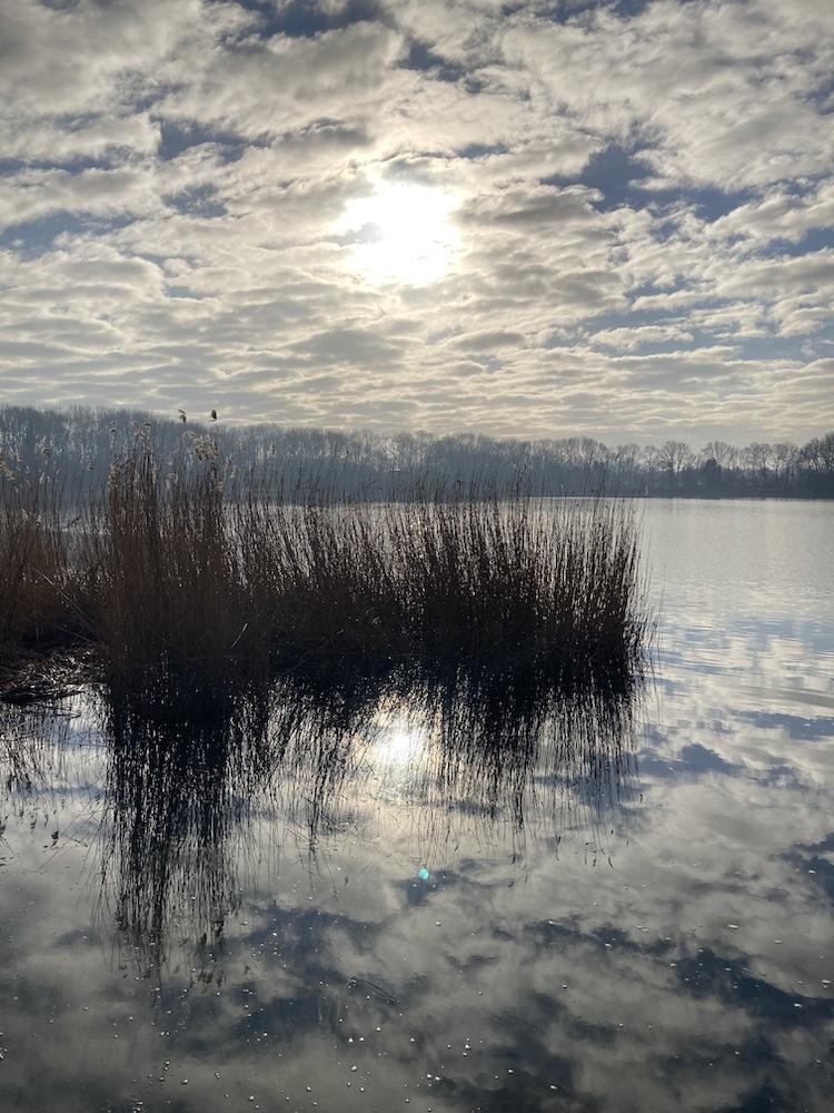 plassen